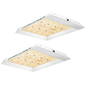 Mars Hydro TS600 2 komplekti 100W täisspektriga LED kasvulambid 120x60cm kasvukasti jaoks