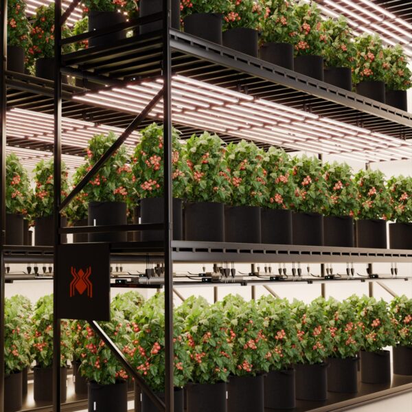 Spider Farmer G1000W LED kasvulamp