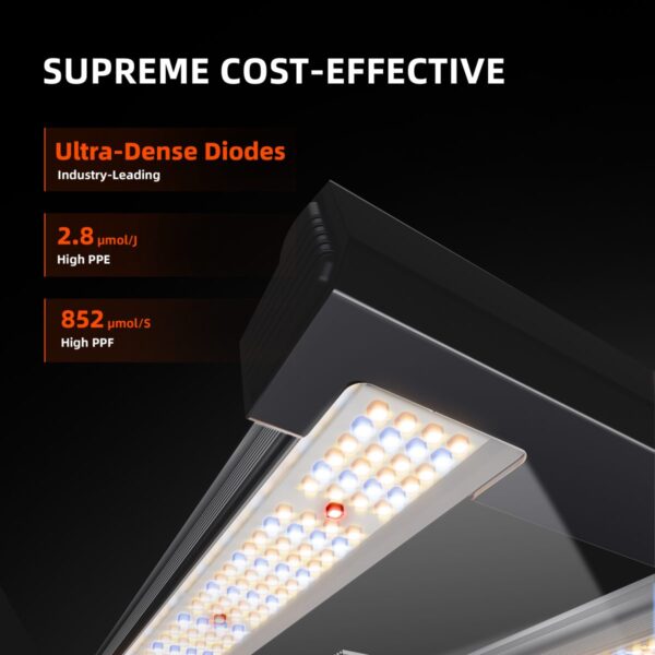 Lähivaade Spider Farmer G3000 LED-dioodidest