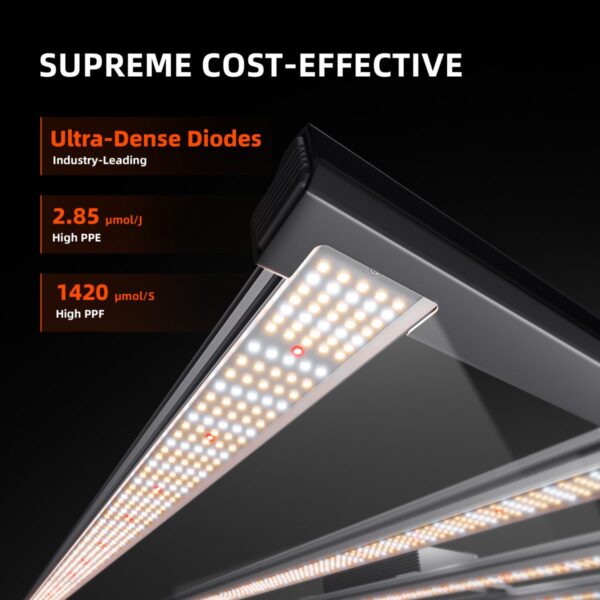 Lähivaade Spider Farmer G5000 Bridgeluxi LED-dioodidest