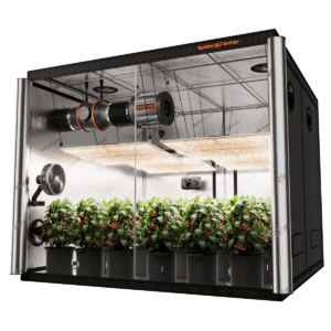 Spider Farmer 240x240cm kasvutelgi komplekt nelja SF4000 LED-valgustiga