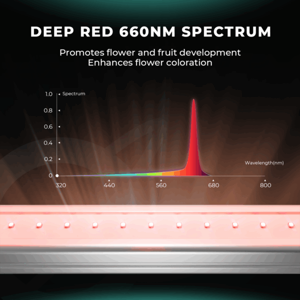 Mars Hydro ADlite Deep Red 30 ja Blue 30 täiendavad LED kasvulambid