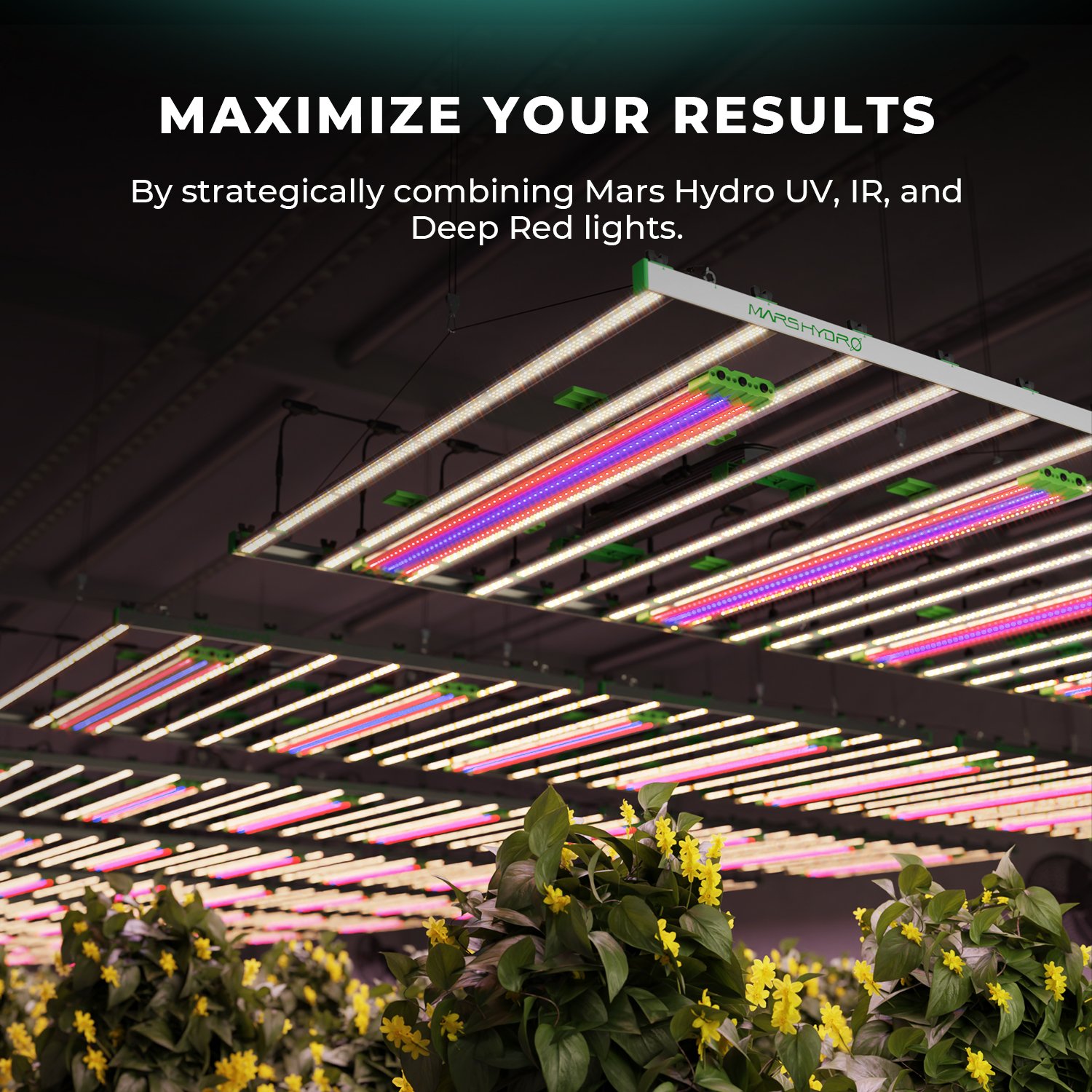 Mars Hydro Adlite R55 LED Kasvulamp sügavpunase valguse täienduseks