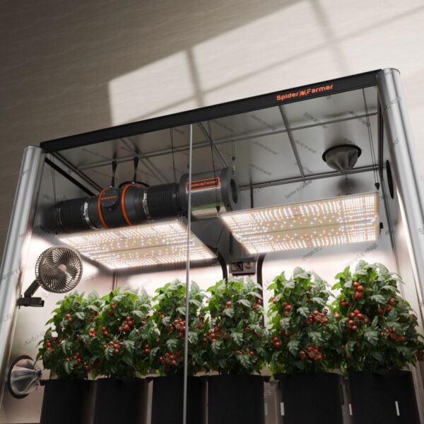 Spider Farmer kasvatuskomplekt 120x240cm telgis koos kahe SF4000 LED-lambiga