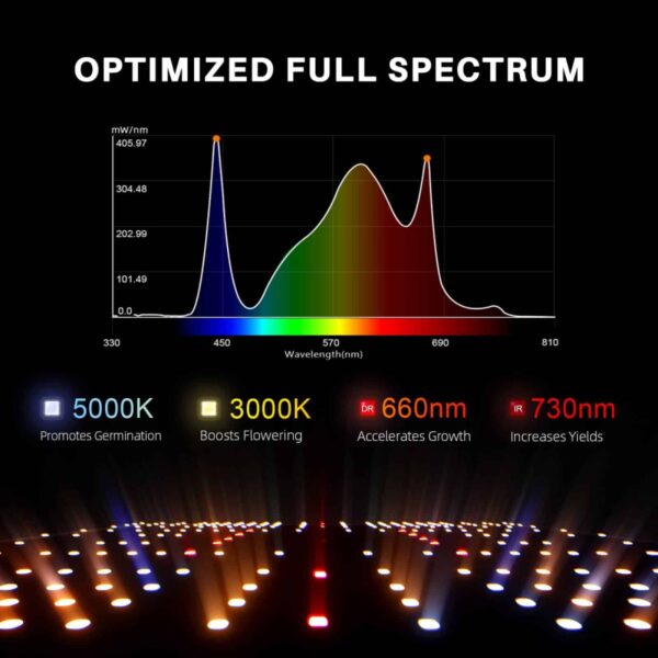 SF4000 LED-lambi valgusspektri graafik