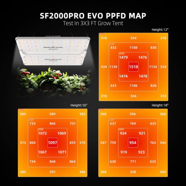 Spider Farmer SF2000PRO PPFD valgusjaotuse kaart