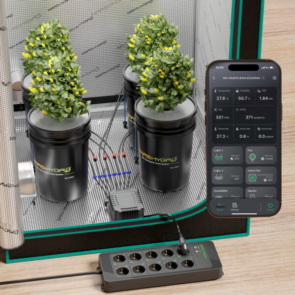 Mars Hydro 5-gallonine DWC hüdropooniline kasvatussüsteem 4 taimekorviga ja iHub Pro kontrolleriga
