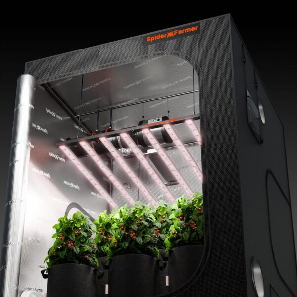 Spider Farmer SE1000W LED-kasvulamp paigaldatuna kasvutelki