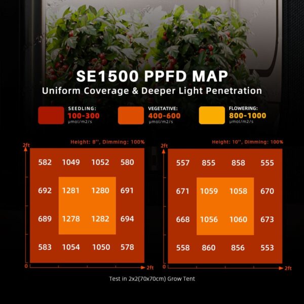 SE1500 EVO LED-lambi PPFD valgusjaotuskaart 70x70cm alal