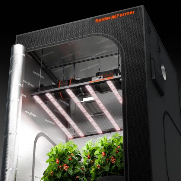 Spider Farmer SE5000 LED kasvuvalgus paigaldatuna 120x120cm kasvutelki