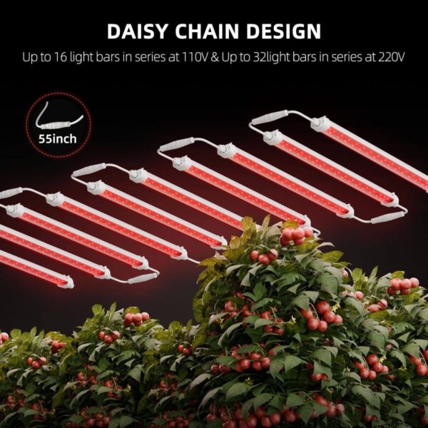 Spider Farmer GlowR40 lampide ühendamine Daisy Chain funktsiooniga