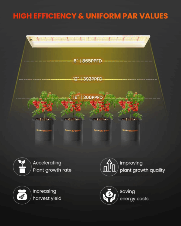 Spider Farmer SF600 LED kasvuvalguse spekter