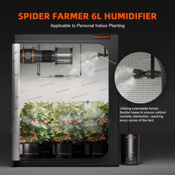 Spider Farmer 6L niisutaja pealtvaates