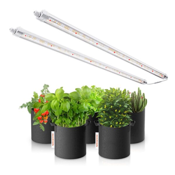 Spider Farmer Glow80 LED-kasvulambi pakendi sisu