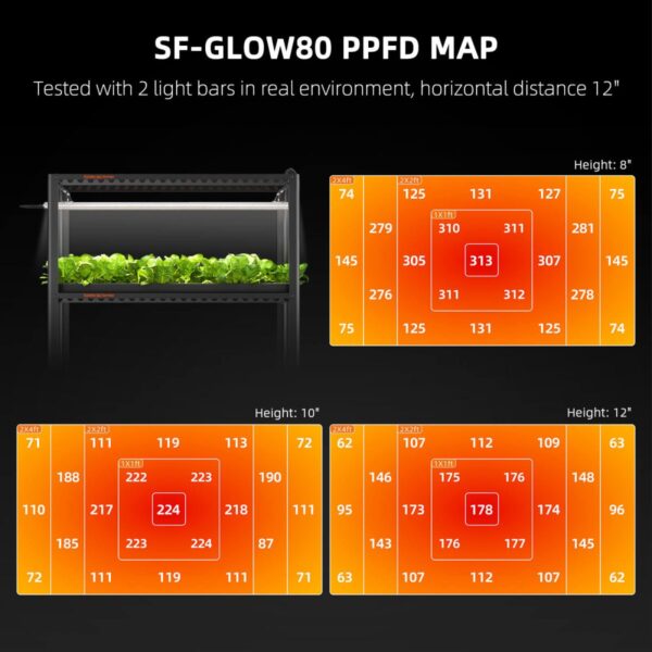 Spider Farmer Glow80 LED-lambi PPFD valgusjaotuse kaart