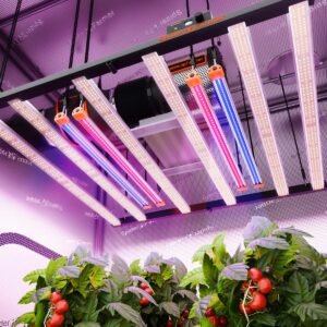 Spider Farmer UV30 IR16 LED täiendav valgusribade komplekt