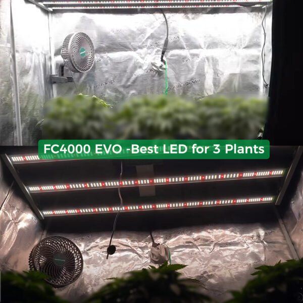Mars Hydro FC 4000-EVO 320W hämardatav Samsung EVO LED kasvulamp täisspektriga 120x60cm kasvukastile
