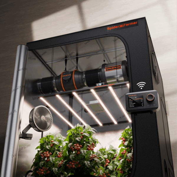 Spider Farmer G8600 kasvatuskomplekt koos 150x150cm telgi ja 800W LED valgustiga