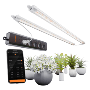 Spider Farmer Glow80 LED kasvulampide komplekt koos GGS AC5 toiteplokiga