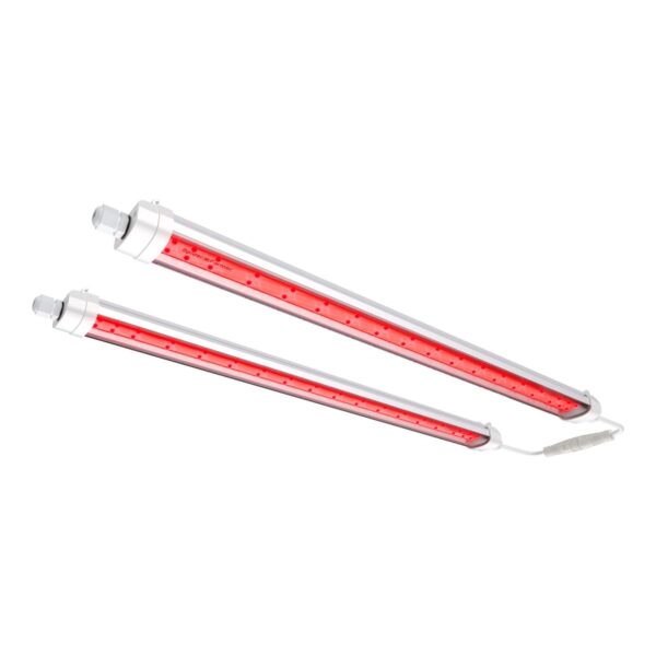 Spider Farmer GlowR40 LED-kasvulamp kahe valgusribaga