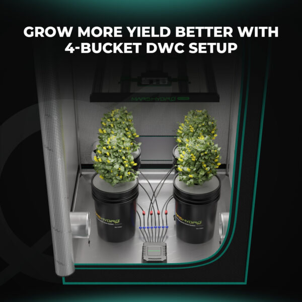 Mars Hydro 4-ämbriline 5-Gallon DWC hüdropooniline süsteem