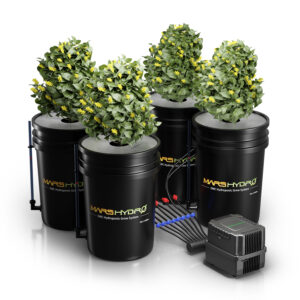 Mars Hydro 4-ämbriline 5-Gallon DWC hüdropooniline süsteem