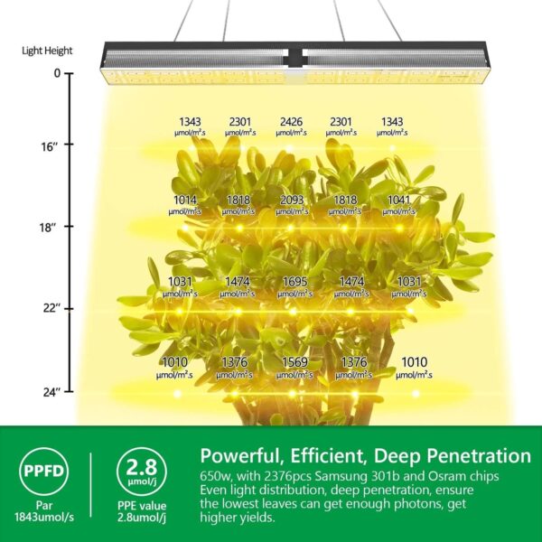 Mars Hydro SP6500 650W Samsung LED kasvulamp kasvuhoonele