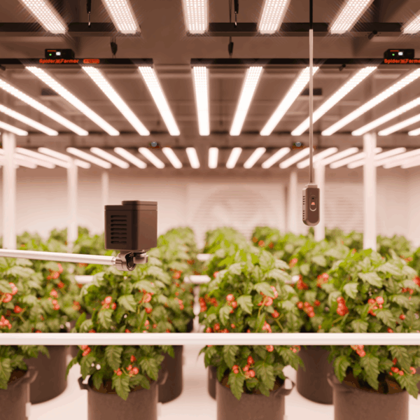 Spider Farmer CO₂ ja PAR andurid koos ühendamiseks vajalike kaablitega.