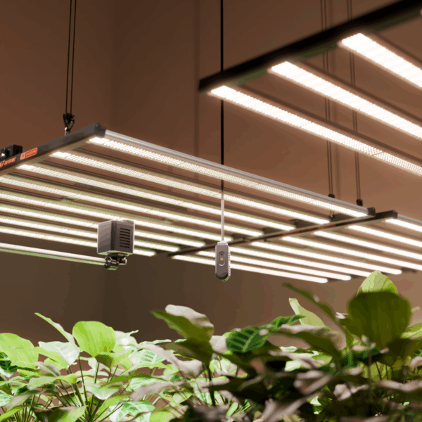 GGS CO₂ ja PAR andurid koos