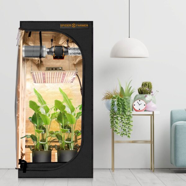 Spider Farmer 40L kasvukott kasutuses noore taimega