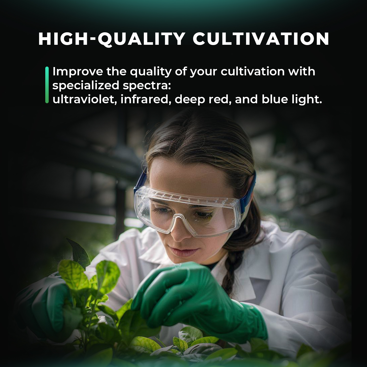 Mars Hydro ADlite LED ribad kvaliteetseks taimede kasvatamiseks