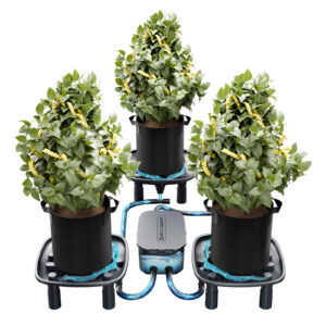 Mars Hydro automaatne drenaažisüsteem 3-le taimele