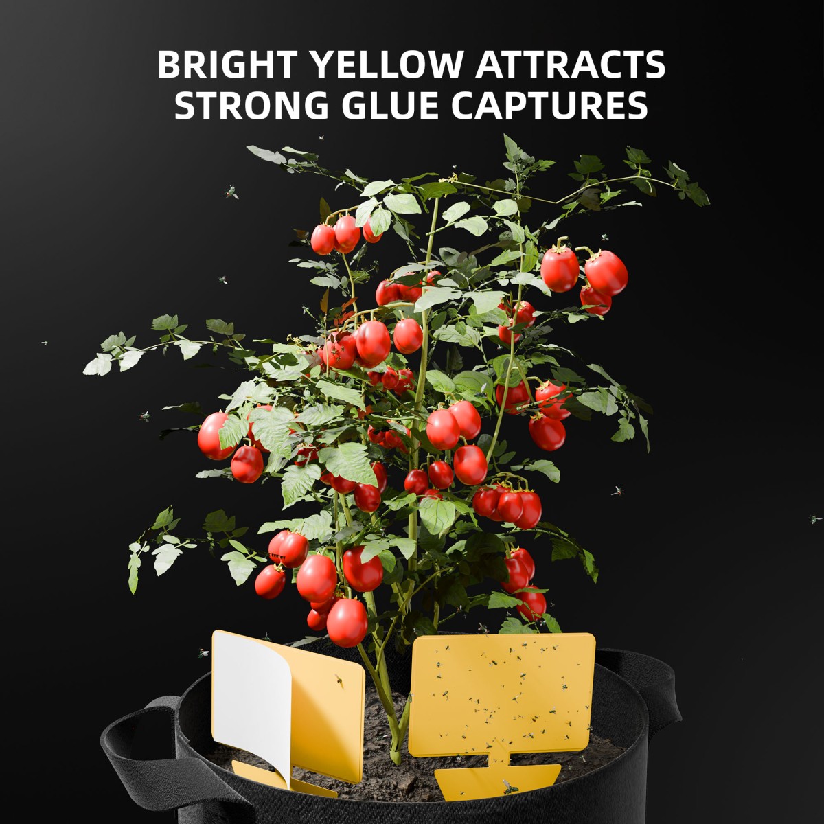 Spider Farmer 5-Gallon Korduvkasutatavad Võrkkotid ja 9-ühes Aiatarvikute Komplekt - Image 9