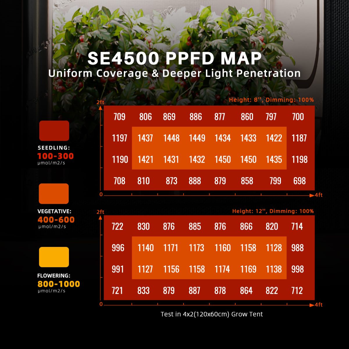 SE4500 LED kasvulambi PPFD kaart