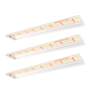 Spider Farmer 3x SF600 LED kasvulampide komplekt riiulitele