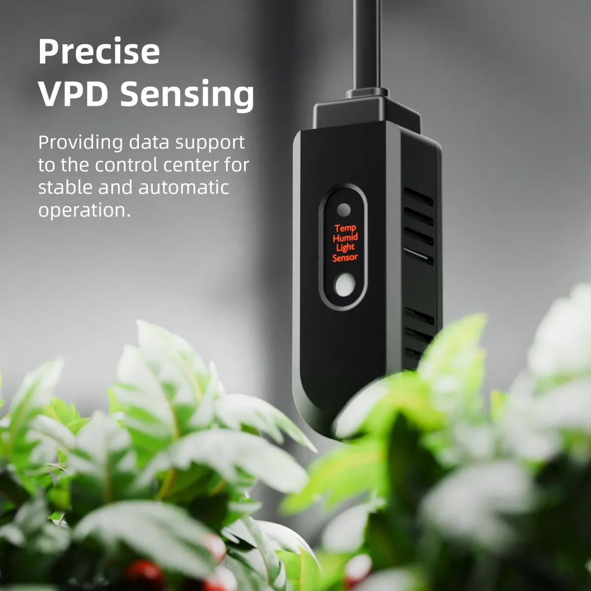 Spider Farmer GGS kasvulambi kontrolleri komplekt tarvikutega