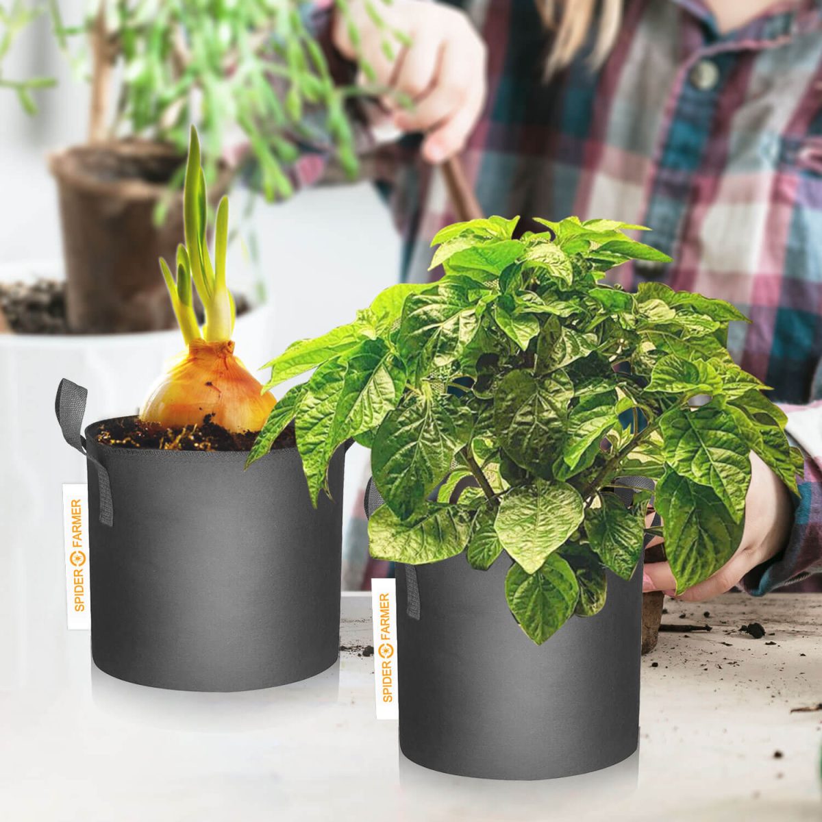 Spider Farmer 5x 40L Riidest Istutuskottide Komplekt - Image 8