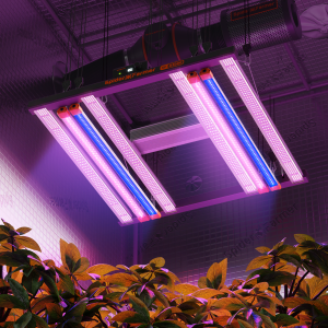 Spider Farmer G3000 LED kasvulamp UV30 & IR16 lisaribadega
