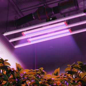 Spider Farmer G4500 LED kasvulamp ja UV/IR valgustuskomplekt