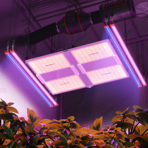 Spider Farmer SF7000 LED kasvulamp UV/IR ribadega