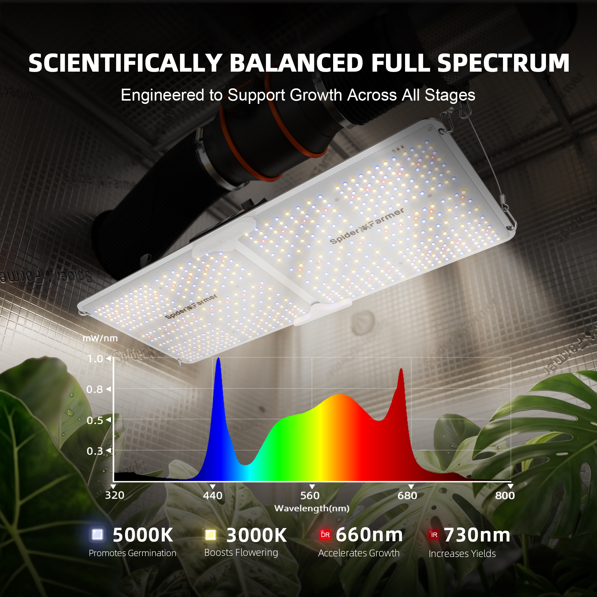 Spider Farmer SF2000 200W LED kasvulamp ja GGS nutikontroller - Pilt 2
